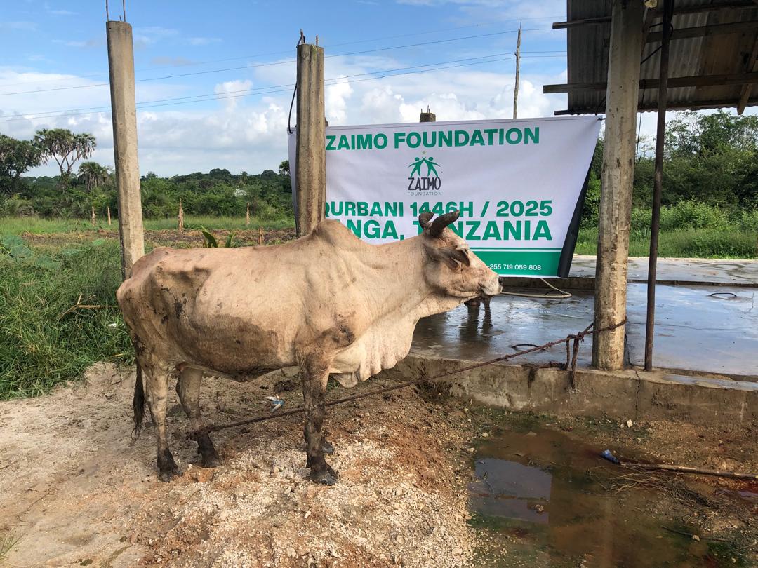 Zaimo Foundation Qurbani program 2025 (1446H) in Tanga, Tanzania